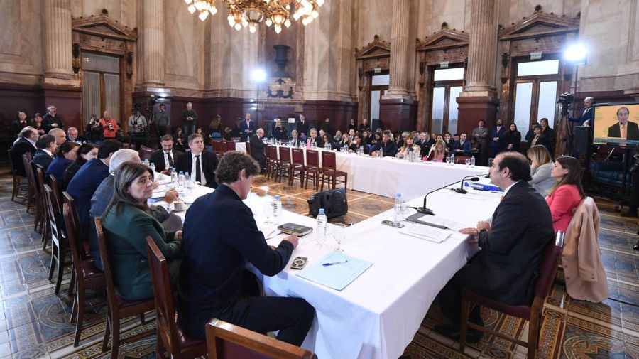 Presentación de García Mansilla en el Senado