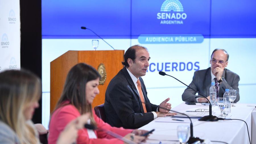 Presentación de García Mansilla en el Senado