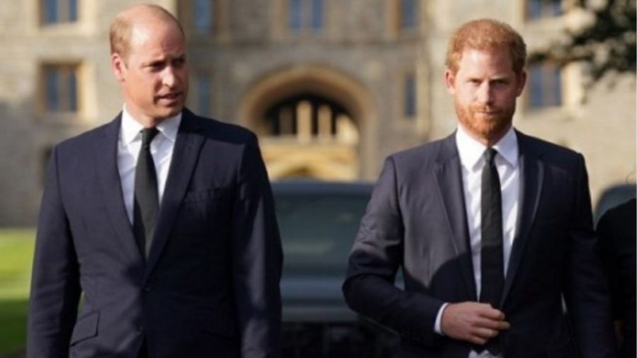 Los príncipes Harry y William tendrán un ansiado reencuentro: de qué se trata