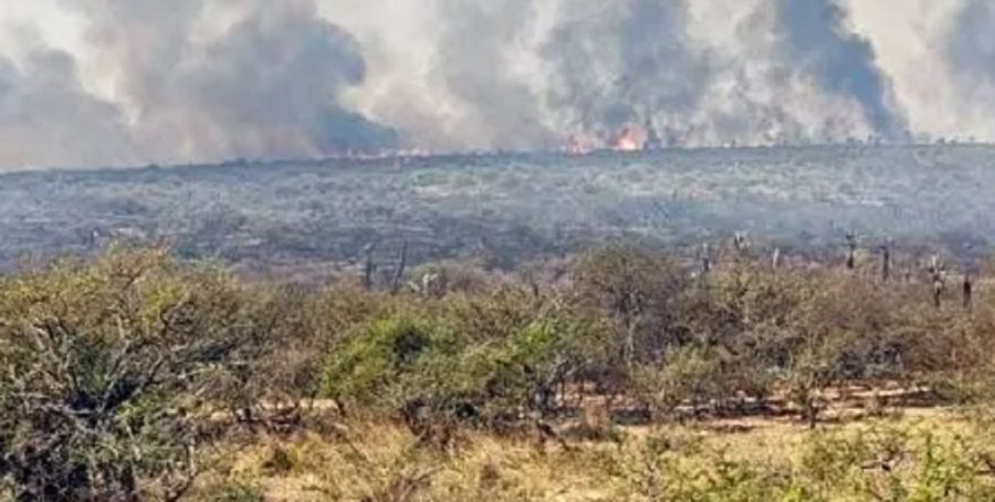 0309_incendios forestales