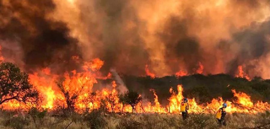 0309_incendios forestales