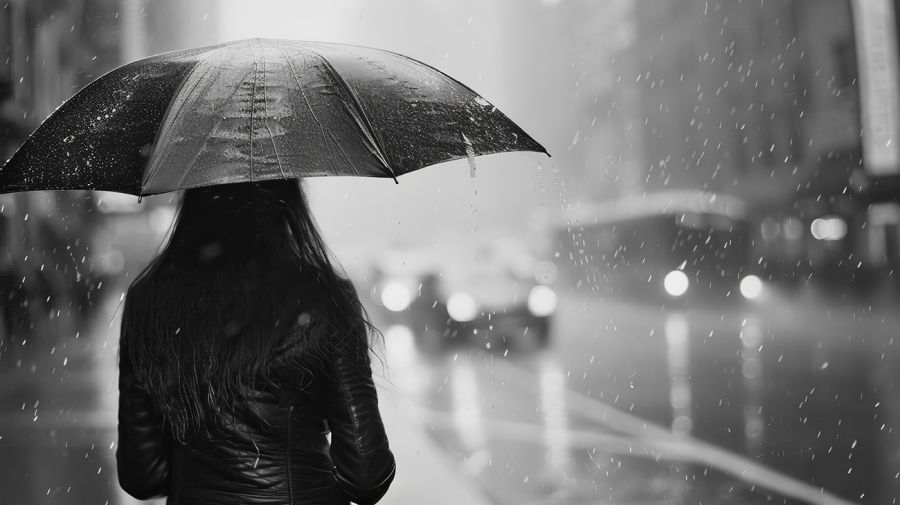 https://fotos.perfil.com//2024/09/09/900/0/lluvia-negra-en-buenos-aires-por-incendios-forestales-1869331.jpg