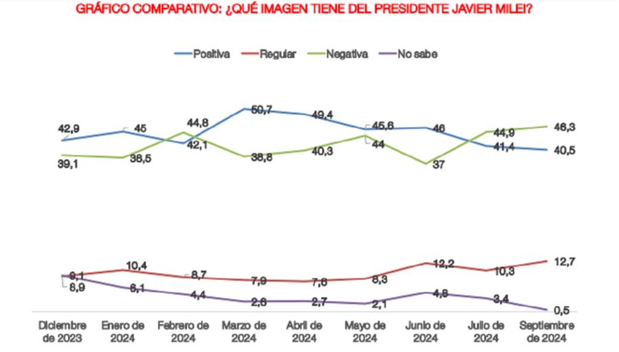 ENCUESTA IMAGEN MILEI