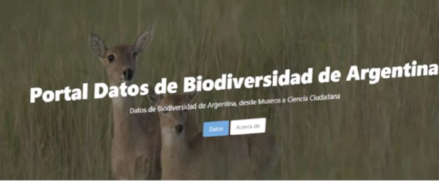 1309_biodiversidad