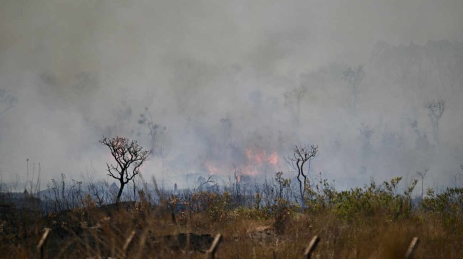 BRASIL MEDIO AMBIENTE INCENDIO 20240916