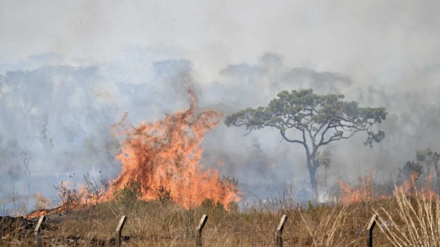 BRASIL MEDIO AMBIENTE INCENDIO 20240916