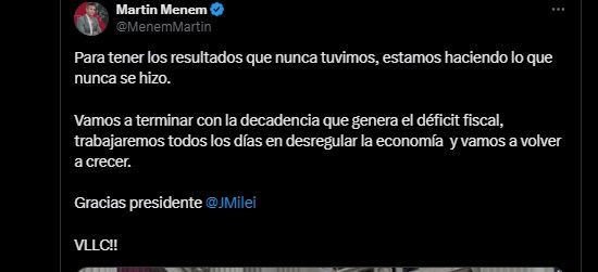 Martin Menem