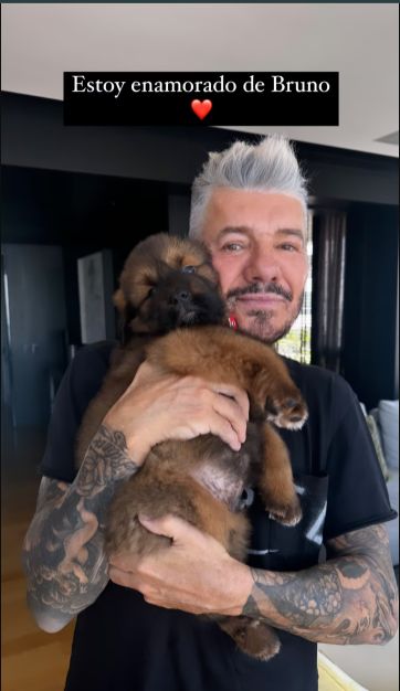 El nuevo perro de Marcelo Tinelli 