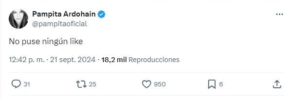 En medio de los rumores de crisis, Pampita desmintió un supuesto “like” a un comentario en contra de Roberto García Moritán 