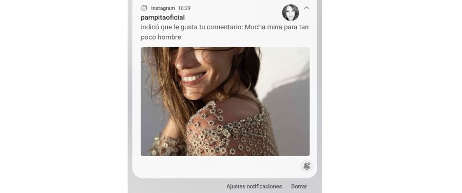 Like que habría puesto Pampita