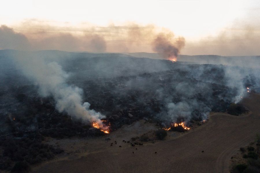 Incendios en Córdoba