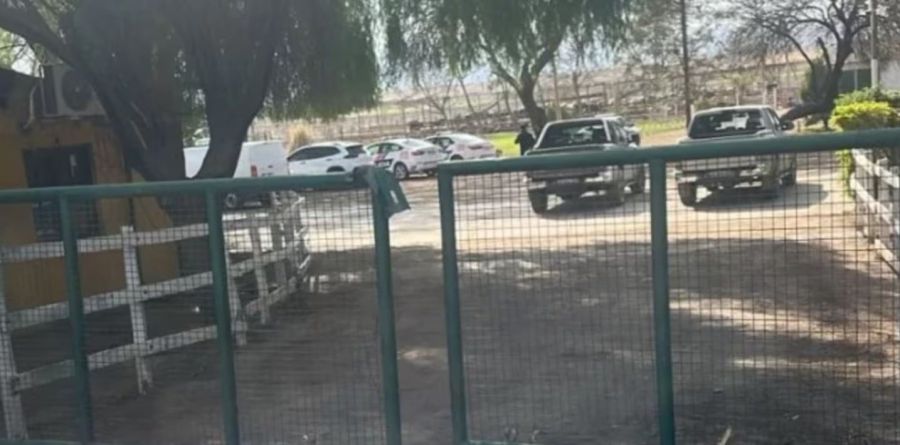 Trabajador rural murió embestido por un toro en San Juán