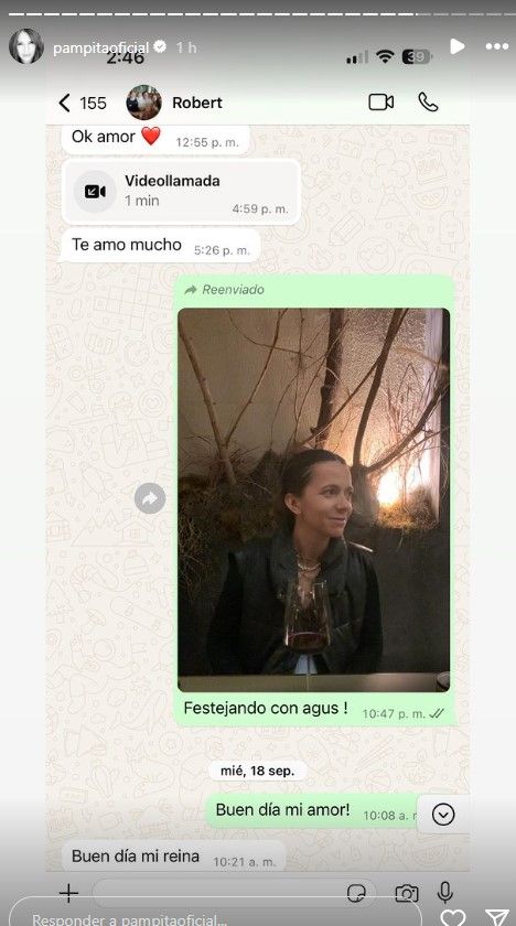 Pampita Ardohain filtró chats con Roberto García Moritan y reveló TODA LA VERDAD sobre la separación