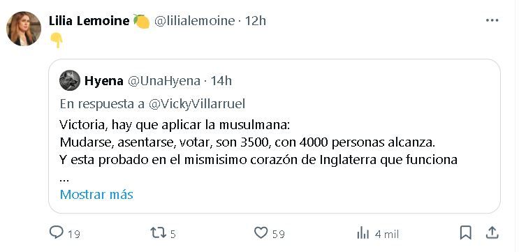 Tweet Lilia Lemoine por Malvinas