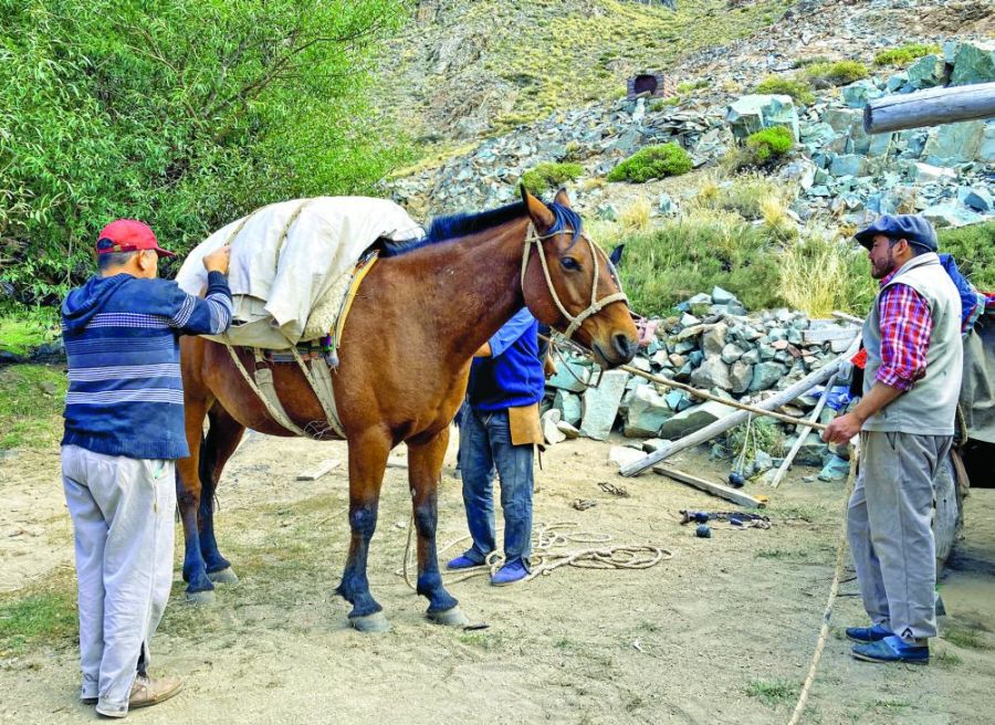 1003_cabalgata