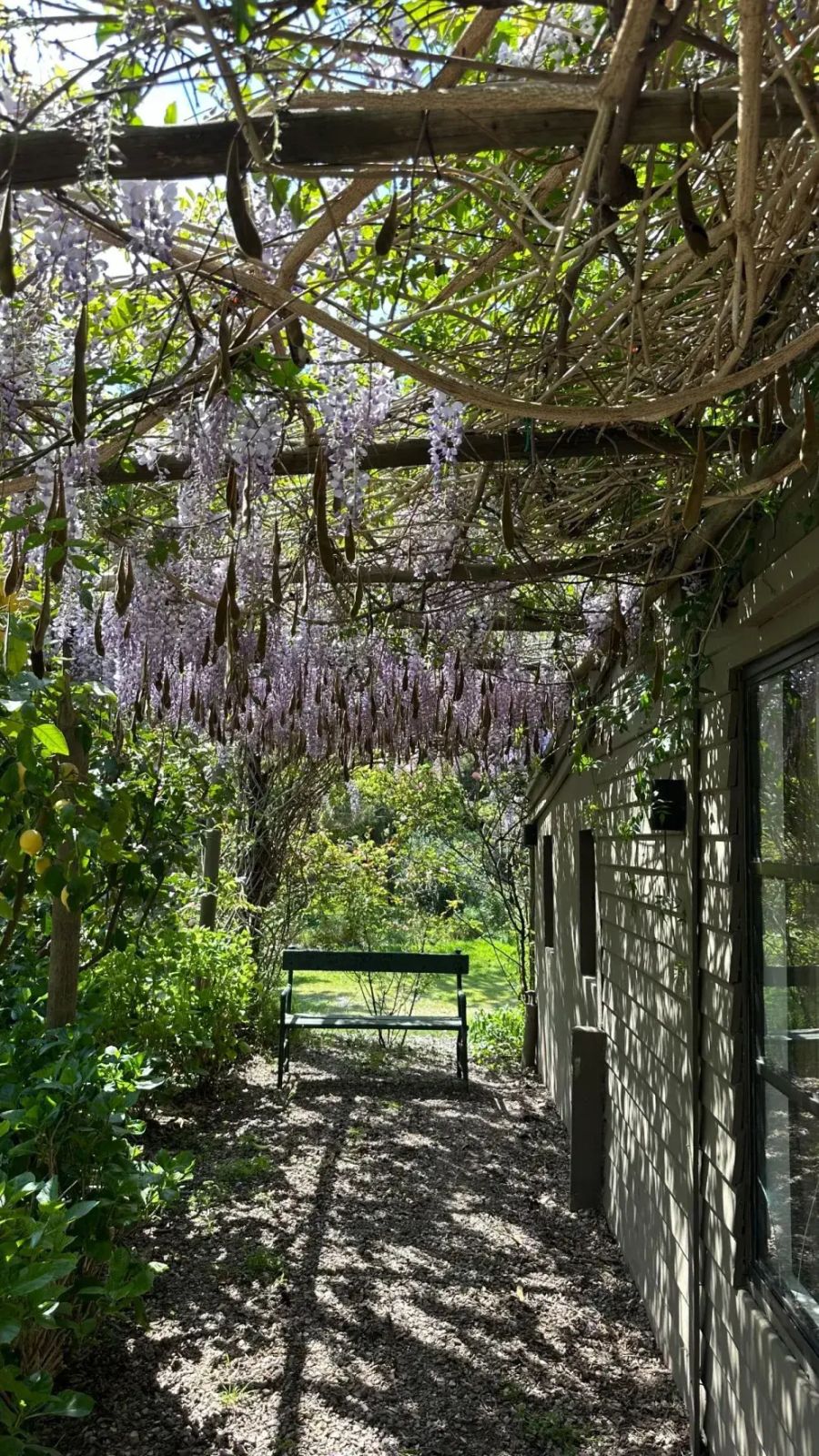 La planta trepadora de Juliana Awada