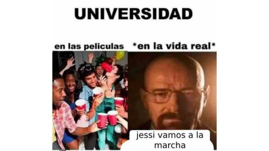 Memes marcha universitaria 20241002