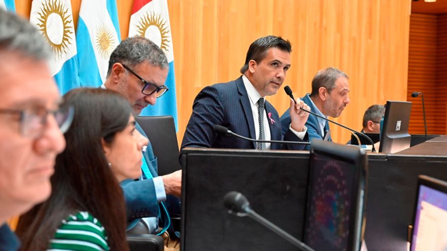 Torres Lima en la Legislatura