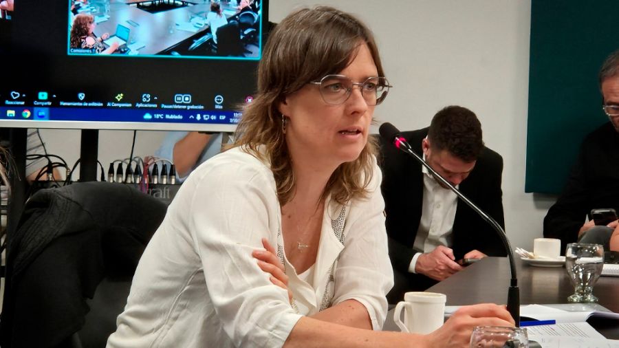 Brenda Austin presentó un proyecto para paridad de cargos en la Justicia