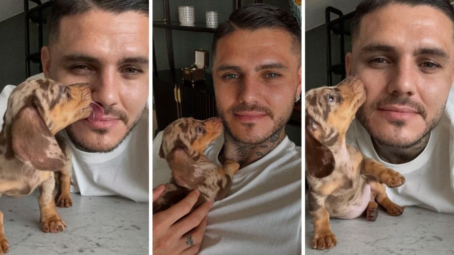 Icardi publicó en su Instagram una foto con el perro de Wanda Nara