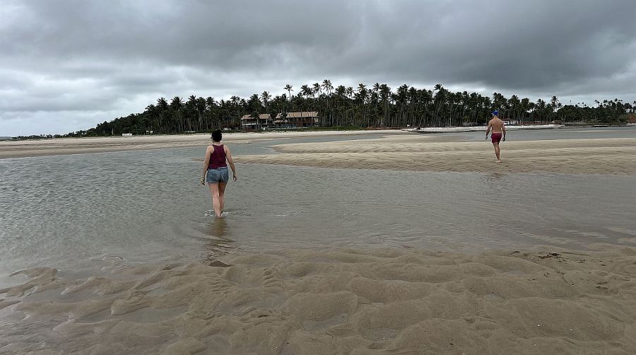 1009_portogalinhas