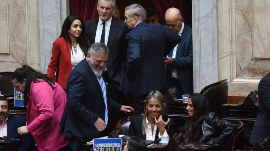 Diputados debate por el veto a la ley de financiamiento universitario