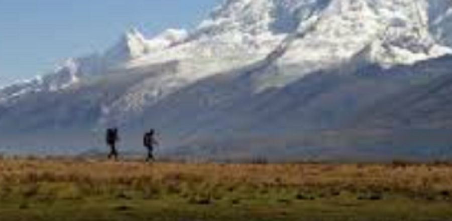 1010_cordillera