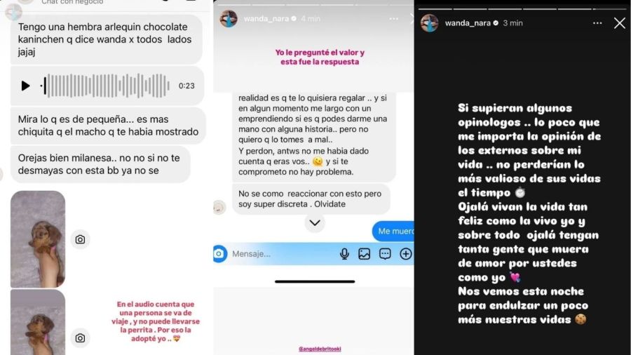 El furioso descargo de Wanda Nara al ser señalada de mentir sobre su nuevo perrito 