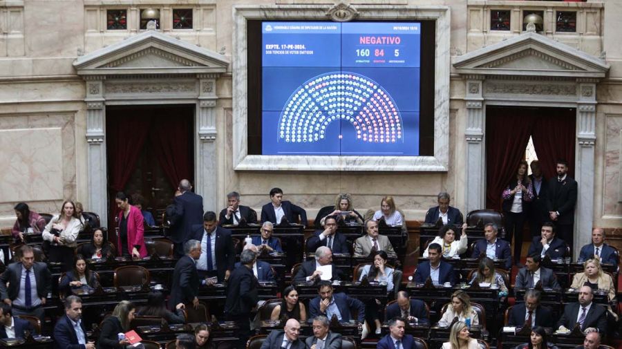 Diputados 20241012