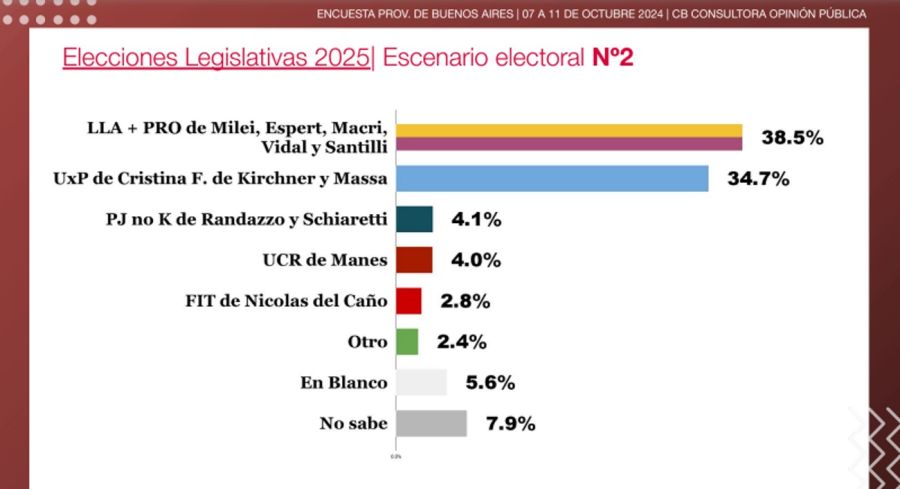 Encuesta elecciones en Buenos Aires 2025 20241012