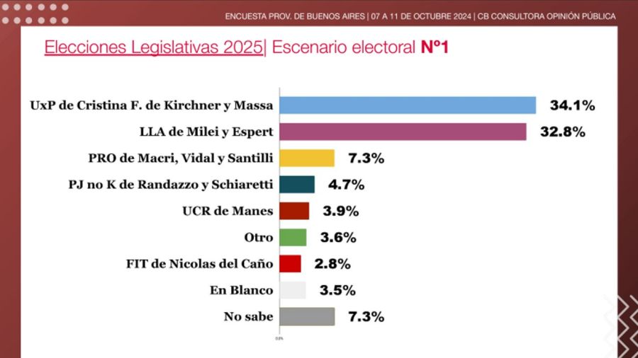 Encuesta elecciones en Buenos Aires 2025 20241012