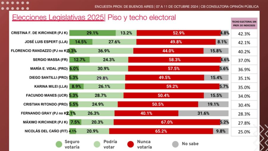 Encuesta elecciones en Buenos Aires 2025 20241012