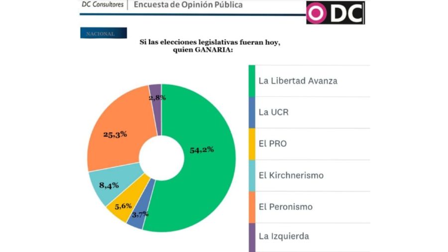 Encuesta: qué medidas le piden a Javier Milei 20241022