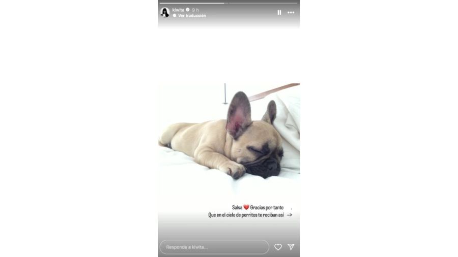 El post de Sarah Stewart Brown tras la pérdida de su mascota Salsa