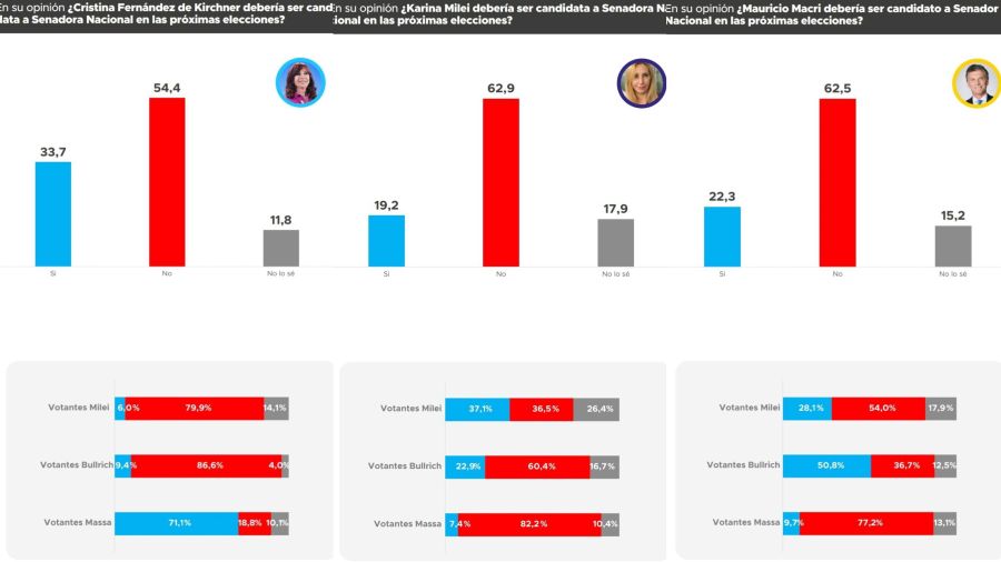 Encuesta elecciones 2025 - Proyección Consultores 20241031