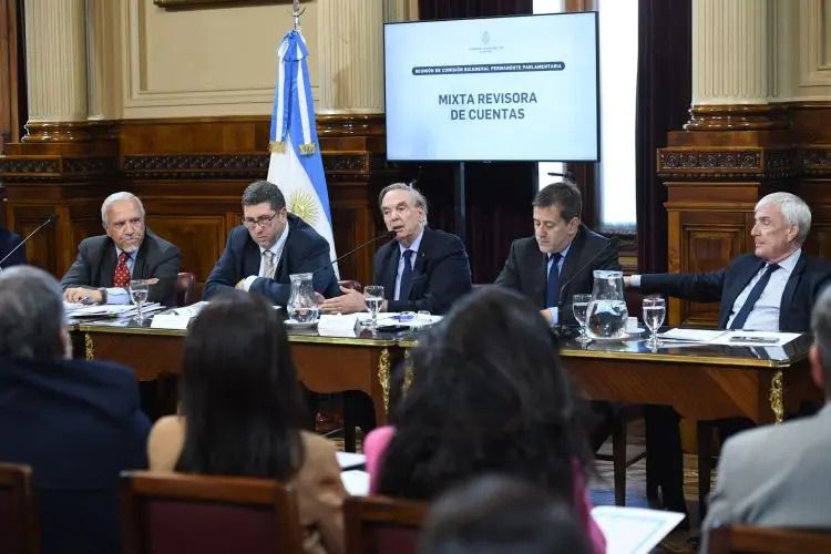 Pichetto-comision-revisora-de-cuentas