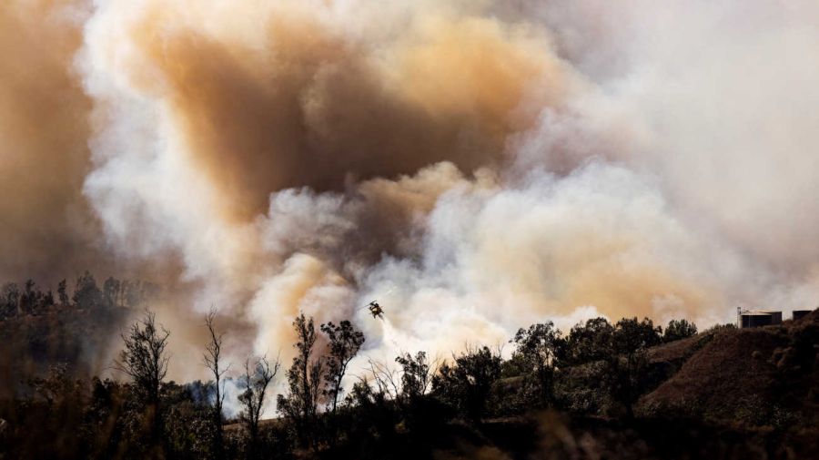 California incendio forestal Mountain Fire 20241108