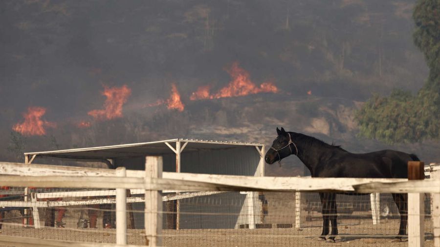 California incendio forestal Mountain Fire 20241108 