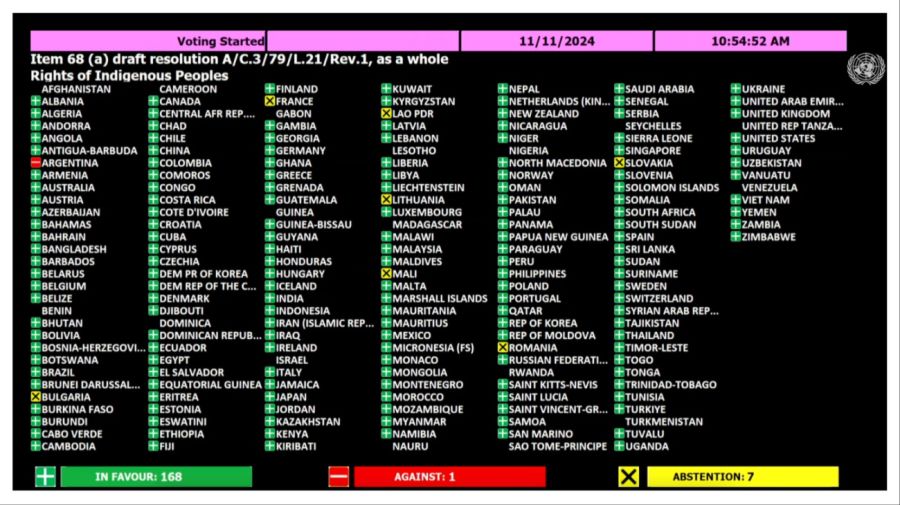 onu pueblos indigenas