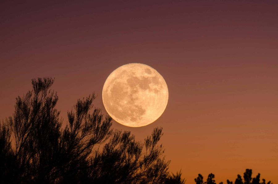 Superluna del castor