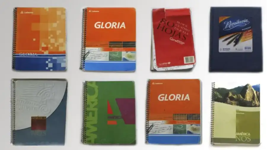Caso cuadernos 20241113