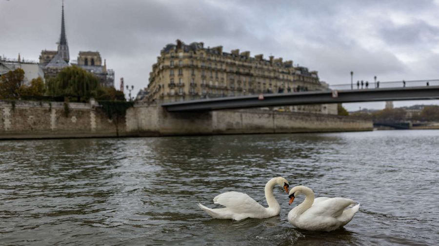 Catedral de Notre Dame en París 20241113