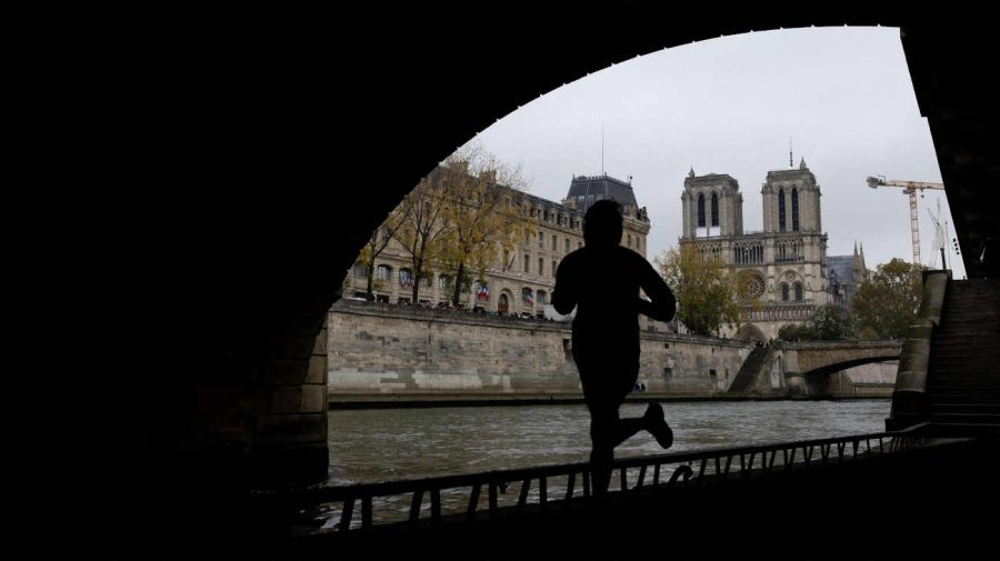 Catedral de Notre Dame en París 20241113