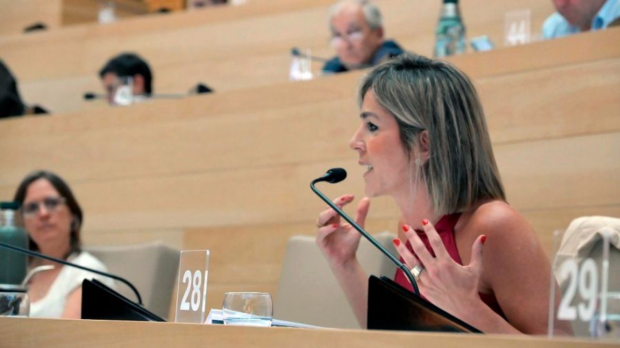 Alejandra Ferrero en la Legislatura durante el debate