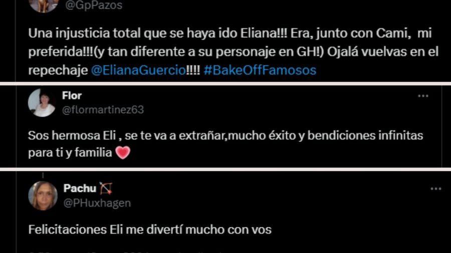 Apoyo en la red para Eliana Guercio 1