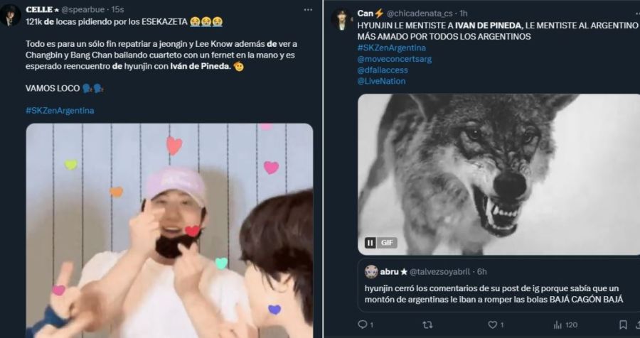 Iván de Pineda viral en X por Stray Kids