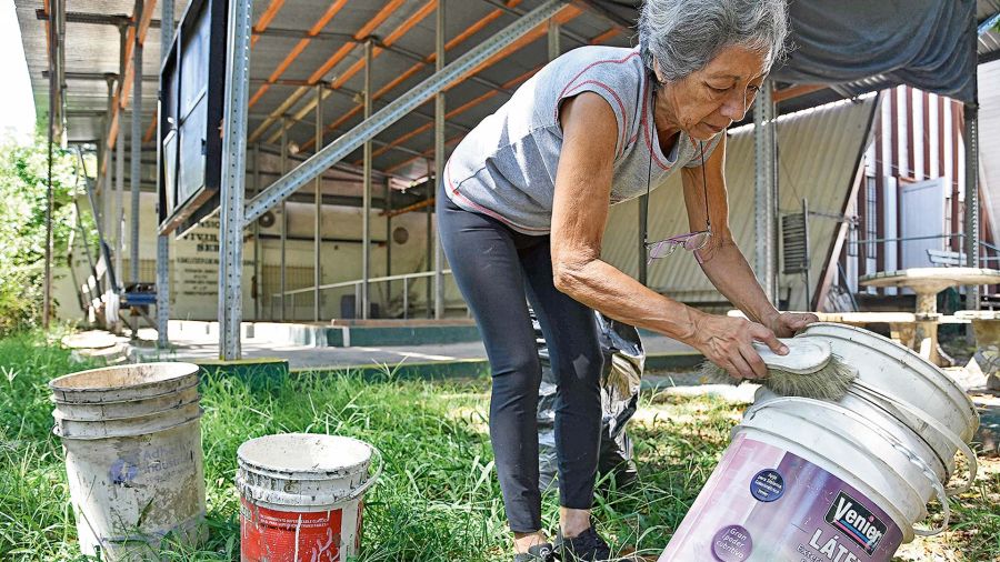 Dengue un kit argentino