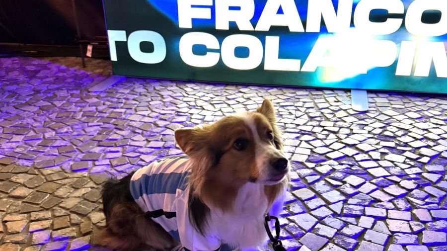 Franco Colapinto en el Fan Zone de Williams.