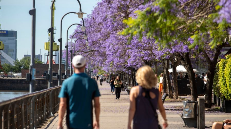 Primavera en Buenos Aires 20241120