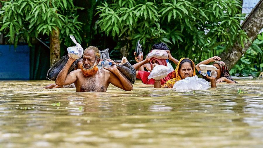 Cambio climatico